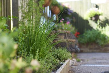 Botley Hill Farmhouse garden, Warlingham, Surrey